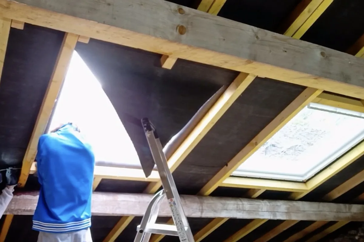 Velux & fenêtres de toit
